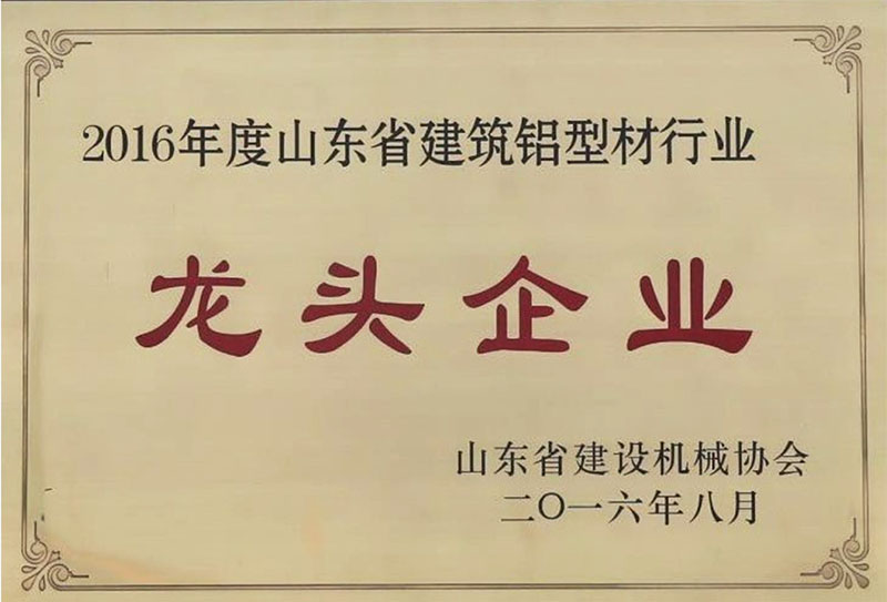 Empresa líder de Shandong en la construcción de perfiles de aluminio.