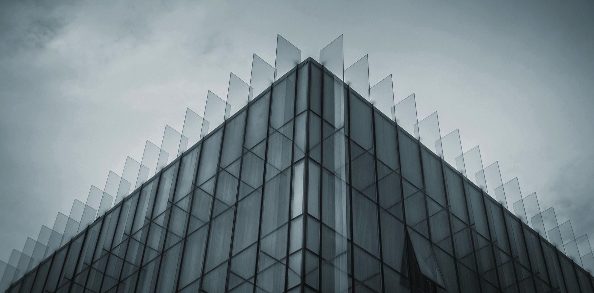 Perfiles de pared cortina